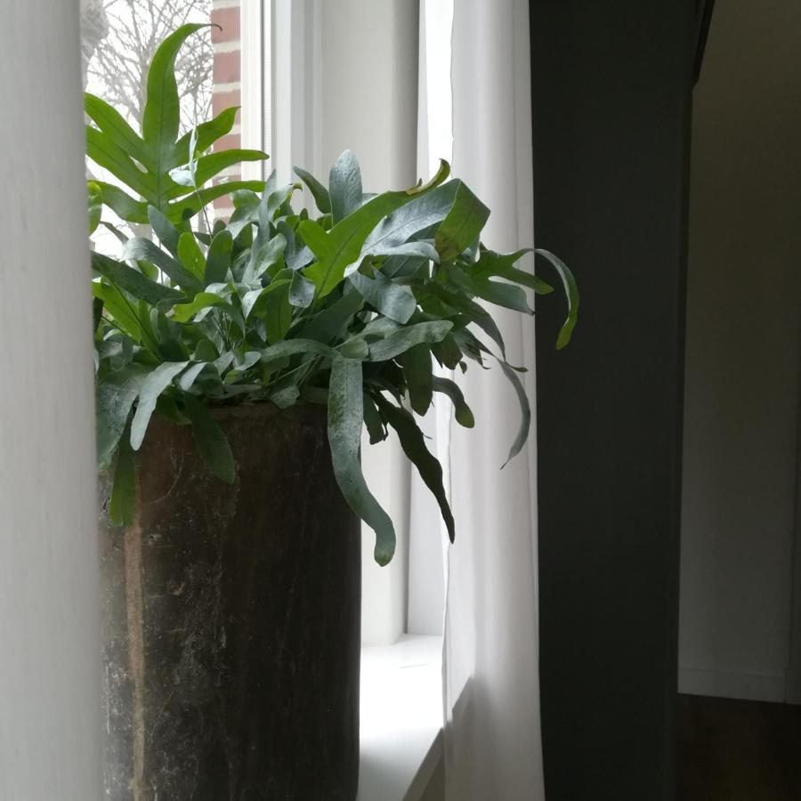 B&B Het Klontje Vriescheloo Kültér fotó